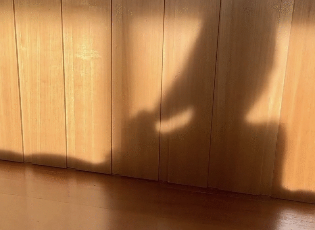 O amor não se acha correndo atrás — ele floresce quando você se encontra primeiro.